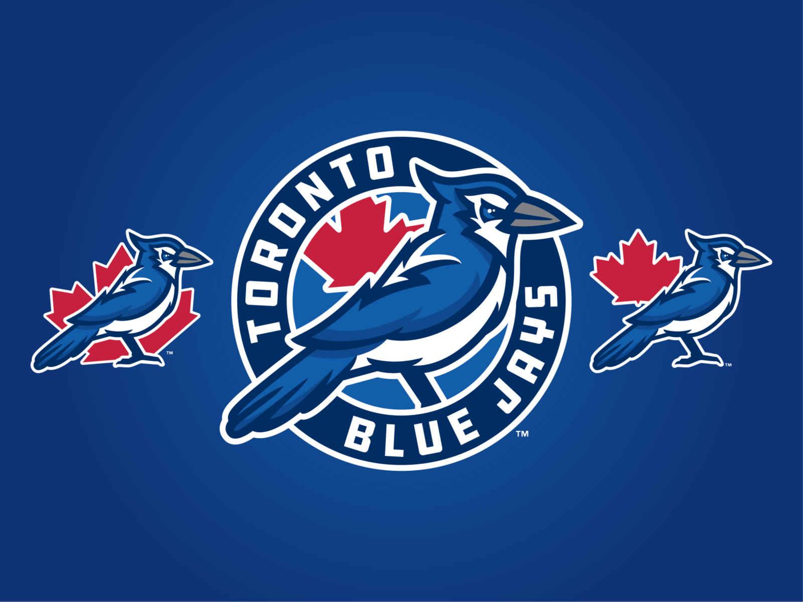 Toronto Blue Jays Concept Logo by Vincent Pettofrezzo on Dribbble