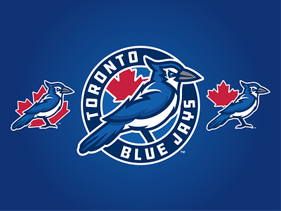 Toronto Blue Jays Concept Logo badge baseball bird blue jays branding design logo mapleleaf mlb roundel sports