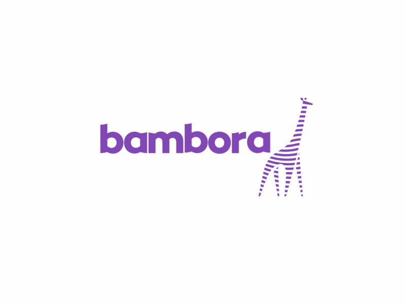 Bambora Payments Provider #2 animation branding design illustration logo loop motion motion graphic motionstory vector