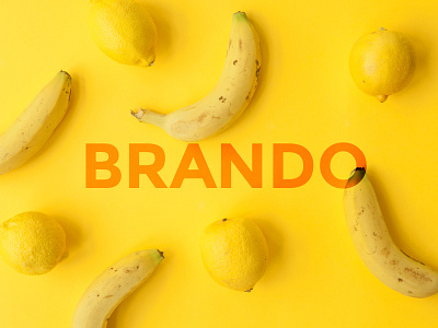 Brando Responsive and Multipurpose OnePage WordPress Theme