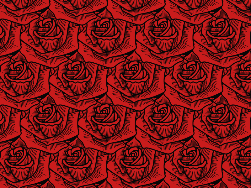 Roses graphic design pattern handdrawn rose chicago hand drawn illustration