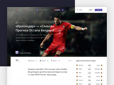 Stavka TV: Article page