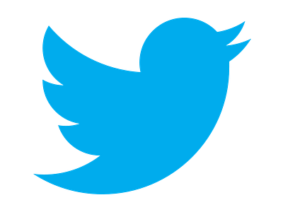 Sketch Twitter logo illustration logo sketch twitter