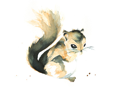 Squirrel art illustration nature squirrel watercolour