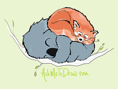 Sometimes I take requests... hand drawn illustration koala bear photoshop red panda sketch sweet dreams