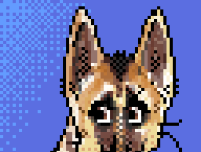 Stella 2d art dog german shepherd illustration pixel portrait