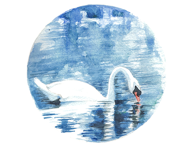 Swan Circle art handmade illustration watercolour