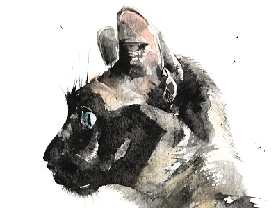 Miss cat drawing graphite handmade meezer meow painting siamese watercolour