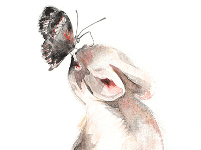 Bunny + Butterfly art black bunny butterfly doodle graphite illustration painting pink red sketch watercolour