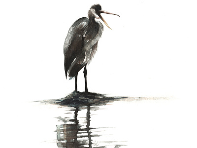 Heron Reflecting art bird doodle draw graphite heron illustration paint reflecting sketch water watercolour
