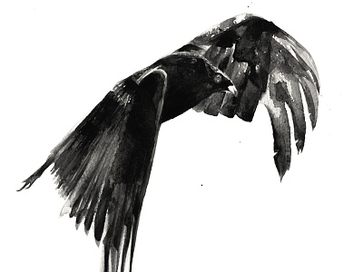 Vulture