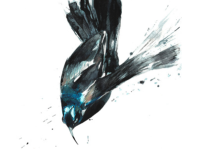 Not your granny's bird art. art artist bird black blue feathers fly grackle illustration painting watercolour wings