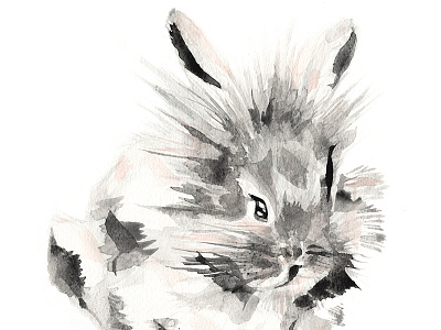 Left-Handed Bunny