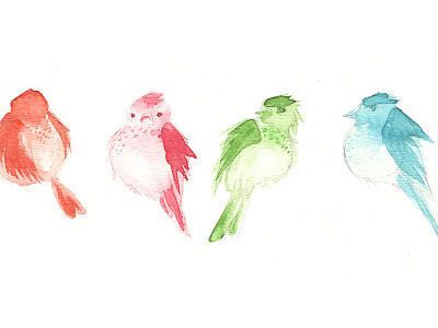 Bird Colour Study bird blue colour green orange pink study test watercolour