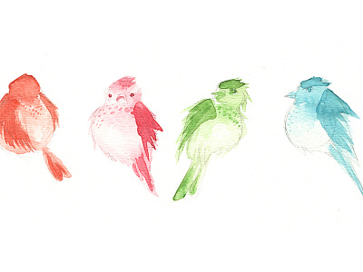 Bird Colour Study