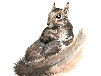 Draw me like one of your French squirrels. art draw french painting squirrel watercolour