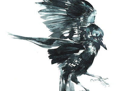 Crow Landing art bird crow drawing fly landing painting watercolour wings