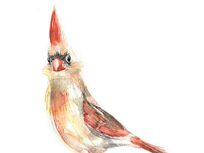 Lady Cardinal cardinal handmade lady painting red subtle watercolour