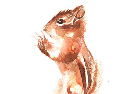 Chipmunk Wizard casting a spell on you! adorable art artist chipmunk cute expression handmade illustration magic spells watercolour wizard