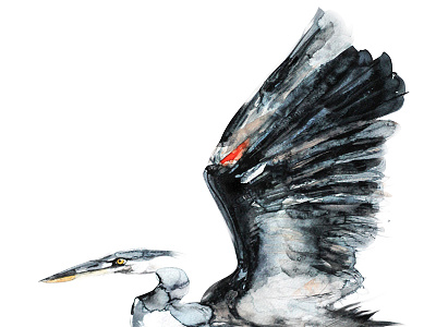 Great Blue Heron art birds draw greatblueheron handmade heron illustration paint watercolor watercolour