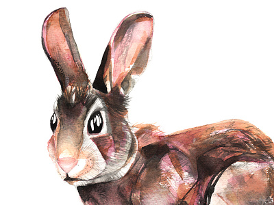 Easter Bunny art bunny easter handmade handpainted illustration nature rabbit watercolour