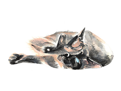 Siamese will cut you. animal aquarelle cat cats cute handpainted meezer scratch siamese watercolor watercolour