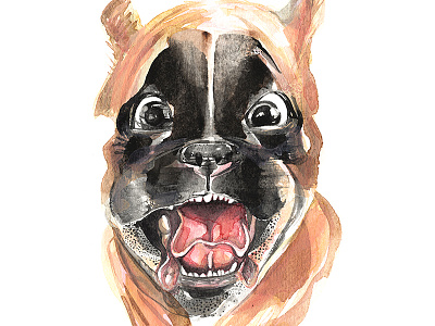 Boxer Puppy boxer dog glee happy joy motion painting puppy run watercolour