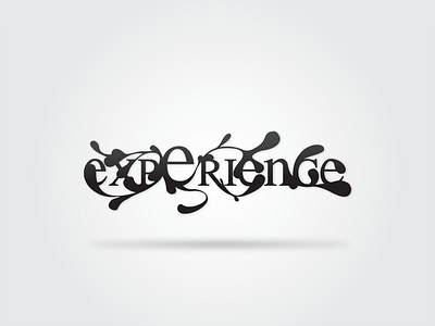 Experience Logo branding identity logo