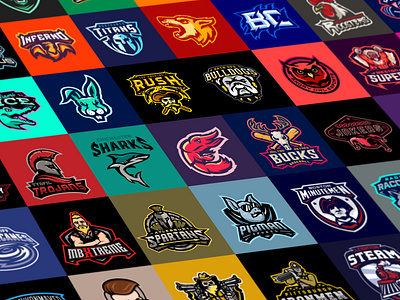 Nfl Shield Dribbble by Steve Russam on Dribbble