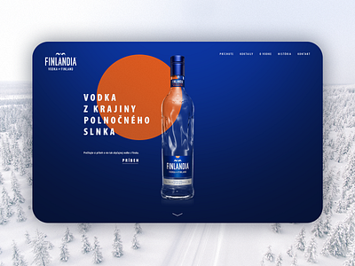 Landing Page for Finlandia Slovakia blue graphic design home screen landing page orange website