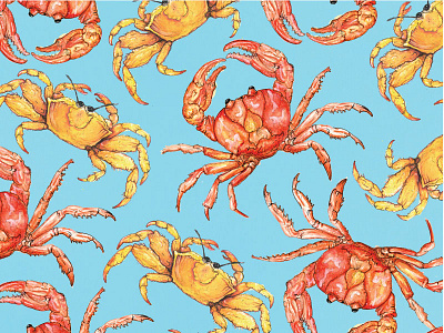 Crab Pattern illustration pattern textile watercolor