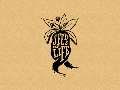 Seeds of Life Logo