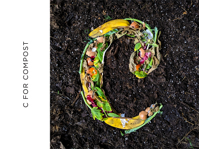 C for Compost 36 days of type 36daysoftype 36daysoftype07 banana c letter compost eggshell food food lettering garden hand lettering letter c lettering object lettering organic plants soil tomato typography veggies
