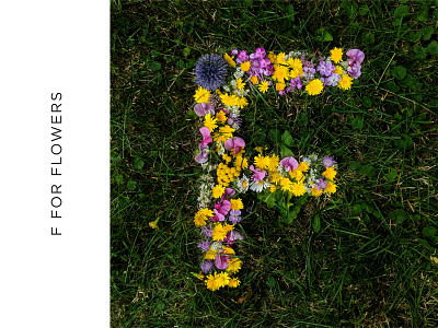 F for Flowers 36daysoftype 36daysoftype07 art direction bees daisy dandelion eco flowers goldenrod grass hand lettering hand type letter f lettering lettering art nature photo type sustainable tactile typography