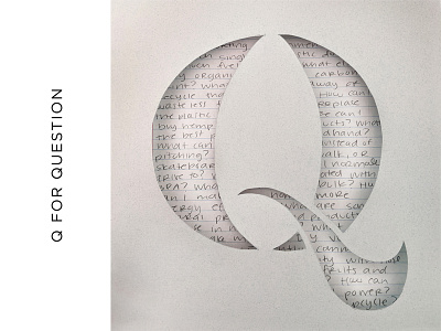 Q for Question 36daysoftype 36daysoftype07 cut paper descender handlettering handwriting letter q letterform lettering lettering art lettering artist paper paper art question questioning serif stencil sustainability sustainable tactile typography