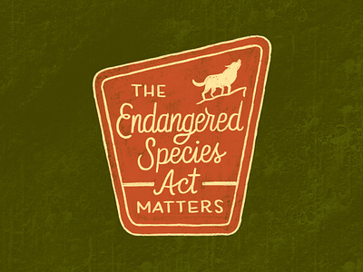Endangered Species Act animal rights climate change endangered species environment grey wolf hand lettering illustration lettering national parks park signage script signage social justice species typography wolf