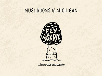 Fly Agaric amanita amanita muscaria classification fly agaric hand lettering horror lettering identification illustration illustrative lettering lettering michigan mushroom mushrooms mushrooms of michigan nature nature art poisonous print texture typography