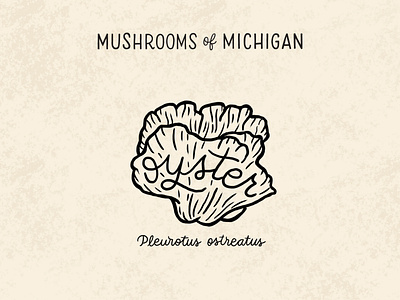 Oyster Mushroom hand drawn hand lettering identification illo illustration lettering line drawing michigan monoline mushrooms mushrooms of michigan nature oyster oyster mushroom scientific script typography