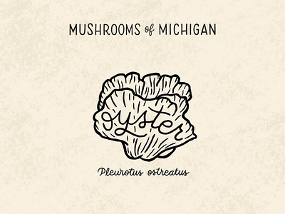 Oyster Mushroom hand drawn hand lettering identification illo illustration lettering line drawing michigan monoline mushrooms mushrooms of michigan nature oyster oyster mushroom scientific script typography