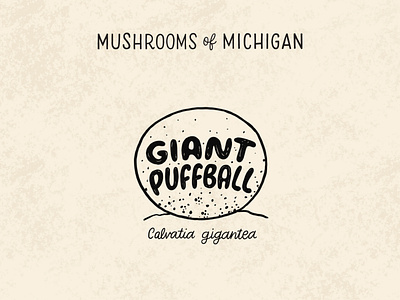 Giant Puffball forage foraging giant puffball hand drawn hand lettering identification illustration lettering michigan mushroom mushrooms natural nature puff puffball series shrooms typography wildcraft woods