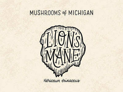 Lion's Mane Mushroom forage foraging hairy hand drawn hand lettering hand rendered type hand type illustration illustrative lettering lions lions mane mane michigan mushroom mushrooms natural nature series typography