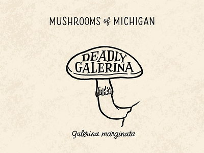 Deadly Gallerina Mushroom black and white deadly deadly galerina hand drawn hand lettering identification illustration lettering michigan michigan nature mushroom mushroom id mushrooms nature typography