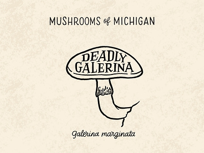 Deadly Gallerina Mushroom