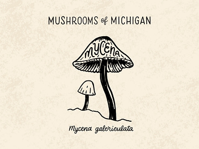 Mycena Mushroom