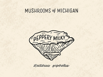 Peppery Milky Mushroom black and white cream forage foraging hand drawn hand lettering illo illustration illustrative type lettering line illo line illustration michigan mushroom mushrooms peppery milky typography