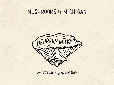 Peppery Milky Mushroom