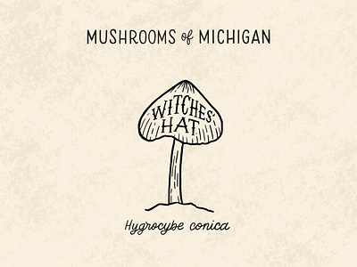 Witches' Hat Mushroom black and white black and white illustration cream forage foraging hand drawn hand lettering hygrocybe illustration lettering line illo line illustration michigan mushroom pointy lettering typography witch witches witches hat witchy