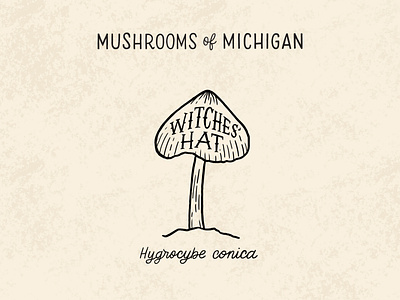 Witches' Hat Mushroom black and white black and white illustration cream forage foraging hand drawn hand lettering hygrocybe illustration lettering line illo line illustration michigan mushroom pointy lettering typography witch witches witches hat witchy