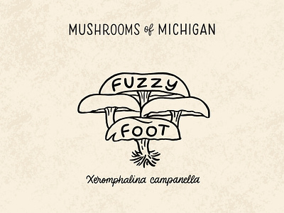 Fuzzy Foot Mushroom