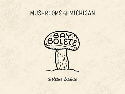 Bay Bolete Mushroom bay bolete black and white bolete forage foraging hand drawn hand lettering illustration lettering michigan mushroom mushrooms natural nature round screenprint simple soft the woods typography